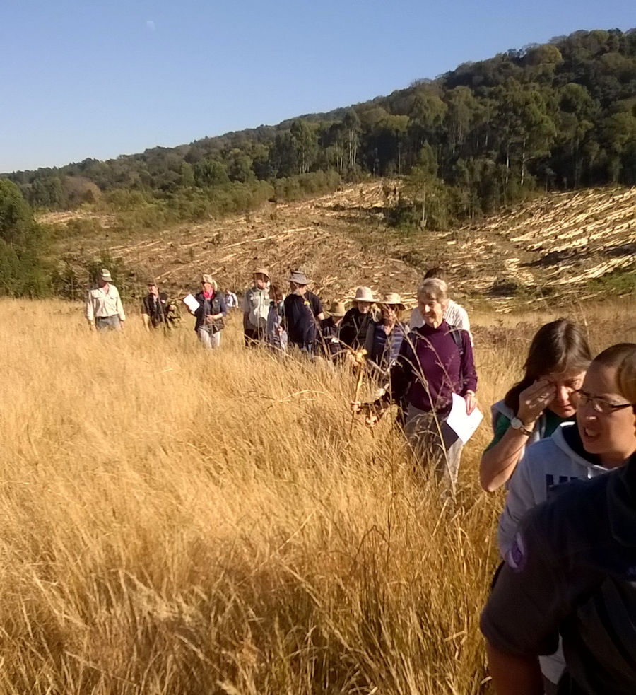 Participants at Dargle Game Count Track and Scat walk